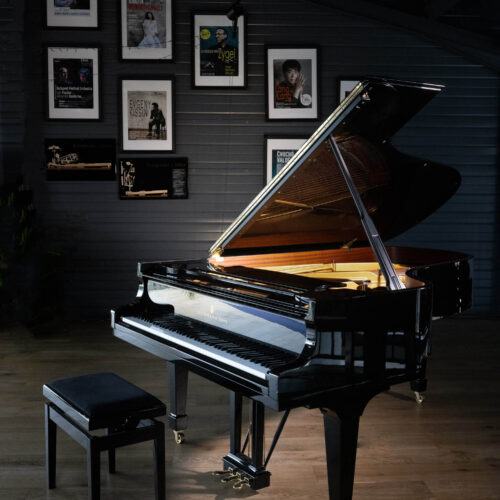 concessionaire steinway sons toulouse 31
