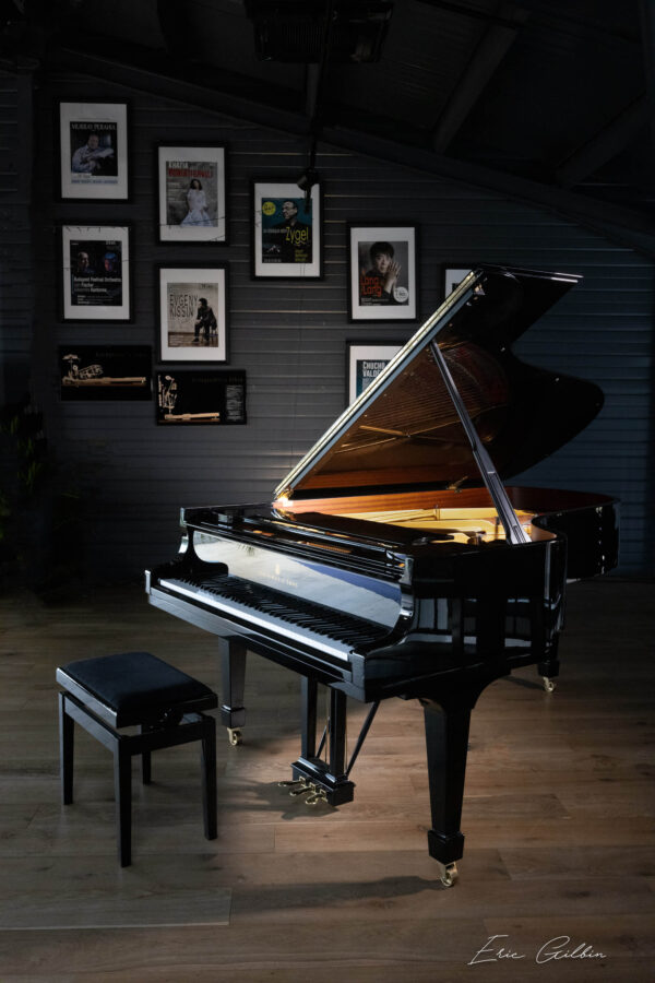 concessionaire steinway sons toulouse 31