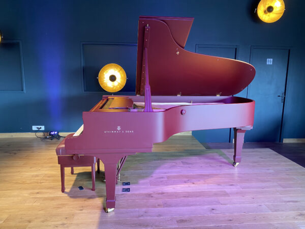 C-227 Steinway & Sons occasion