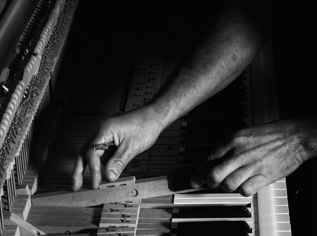 jw 2023 11 22 9008 cr3 dxo deepprimexd jw nik 1jw 4