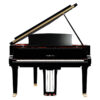 gc1 noir brillant gc1 pe