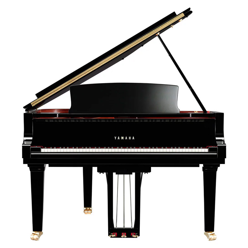gc1 noir brillant gc1 pe
