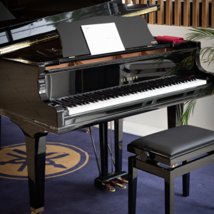 yamaha c3x 1/4 de queue