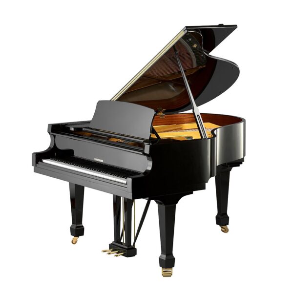 Piano acoustique à queue W.HOFFMANN T177 Noir Brillant Piano acoustique à queue W.HOFFMANN T177 Noir Brillant