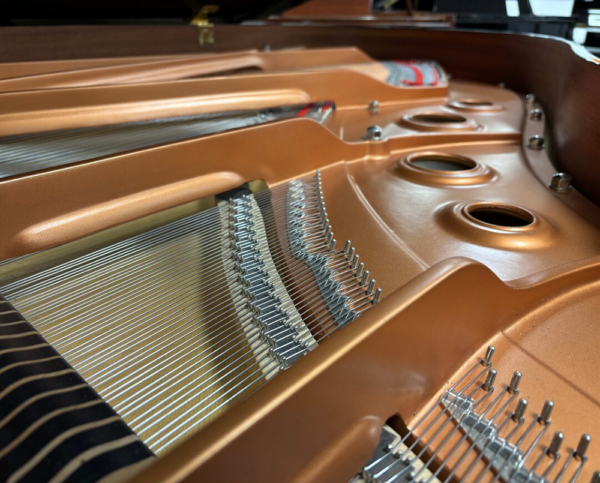 yamaha c3x 1/4 de queue yamaha c3x 1/4 de queue