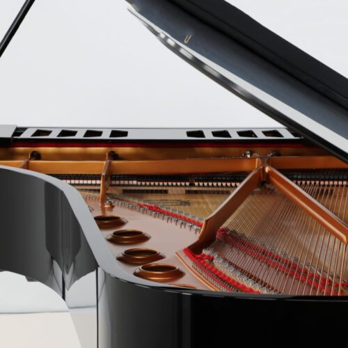 cfx noir brillant