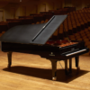 yamaha cfx | occasion service concert