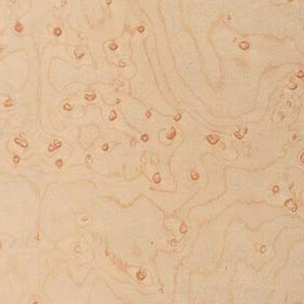 a 170 n vernis spécial satiné