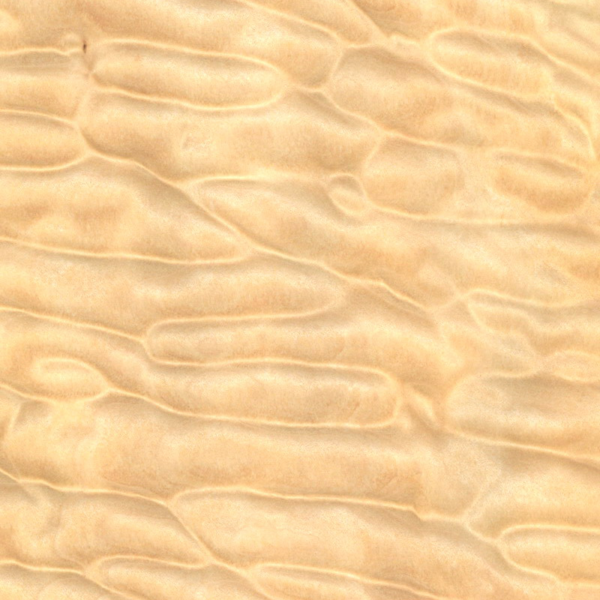 a 170 n vernis spécial satiné