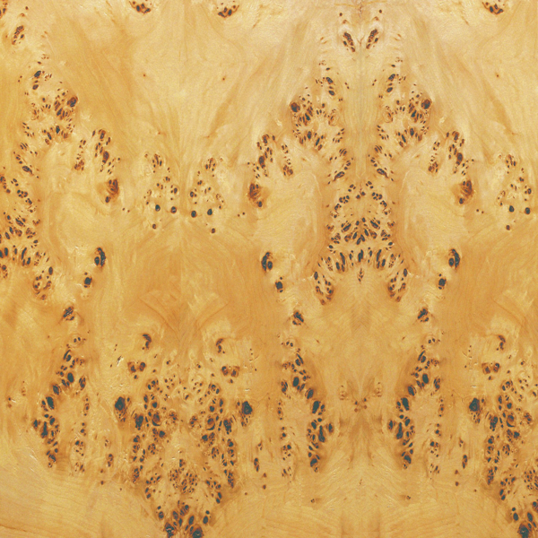 a 170 n vernis spécial satiné