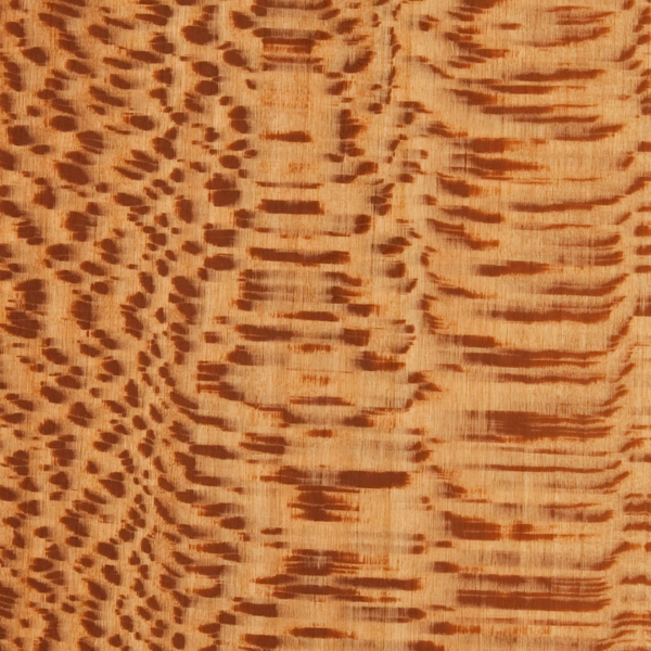 a 170 n vernis spécial satiné