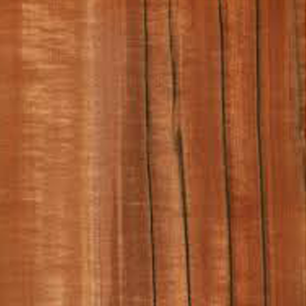 a 170 n vernis spécial satiné