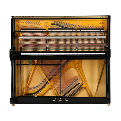 tradition t122 noir brillant