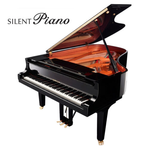 c5x silent noir brillant c5x sh3 pe