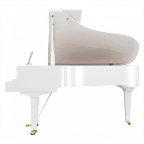 c6x blanc brillant c6x pwh