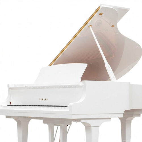 gc2 blanc brillant gc2 pwh