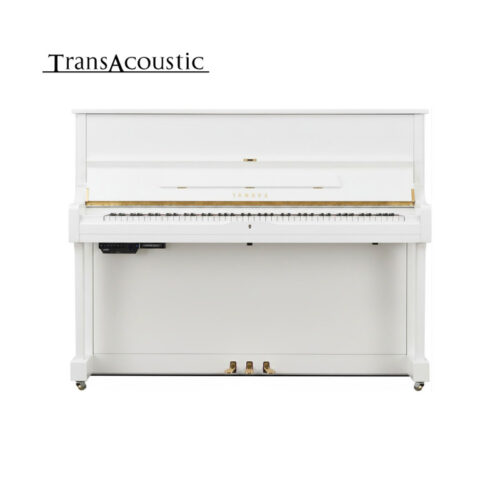u1 transacoustic blanc brillant u1 ta3 pwh