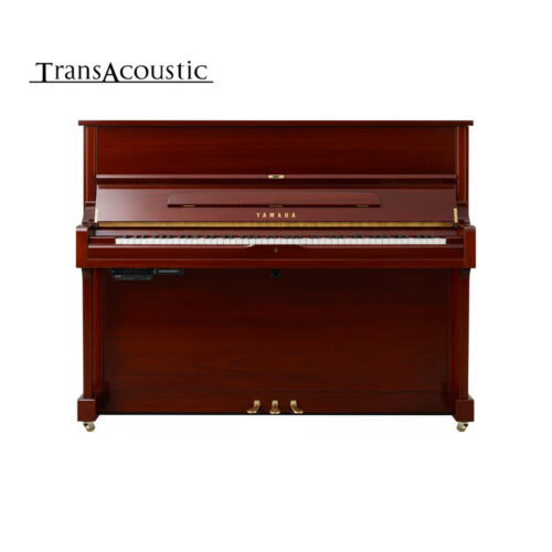 u1 transacoustic acajou brillant u1 ta3 pm