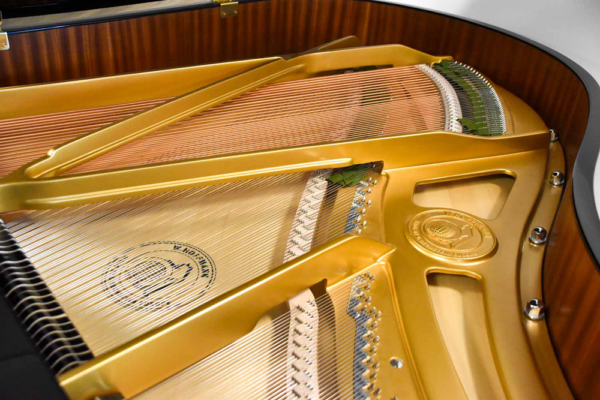 tradition t177 noir brillant tradition t177 noir brillant