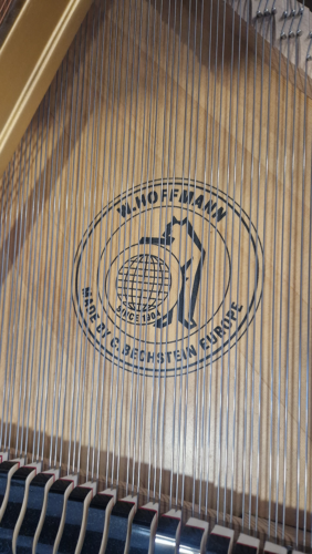 tradition t177 noir brillant tradition t177 noir brillant