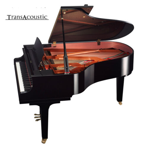 c3x transacoustic noir brillant c3x ta3 pe