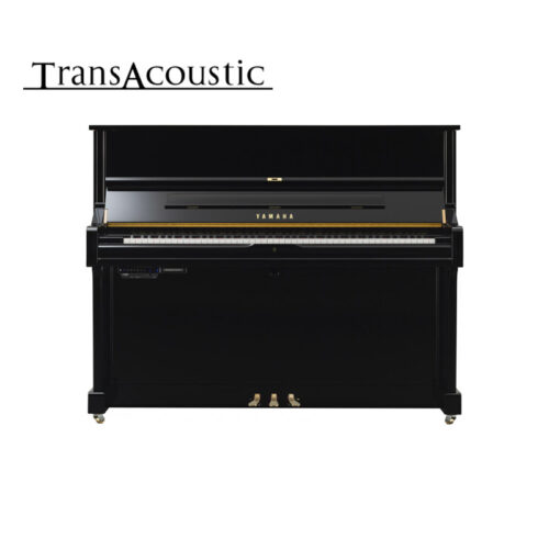 u1 transacoustic noir brillant u1 ta3 pe