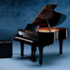 yamaha disklavier parisot