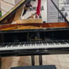 c.bechstein 1/2 que b212 | modèle d'exposition