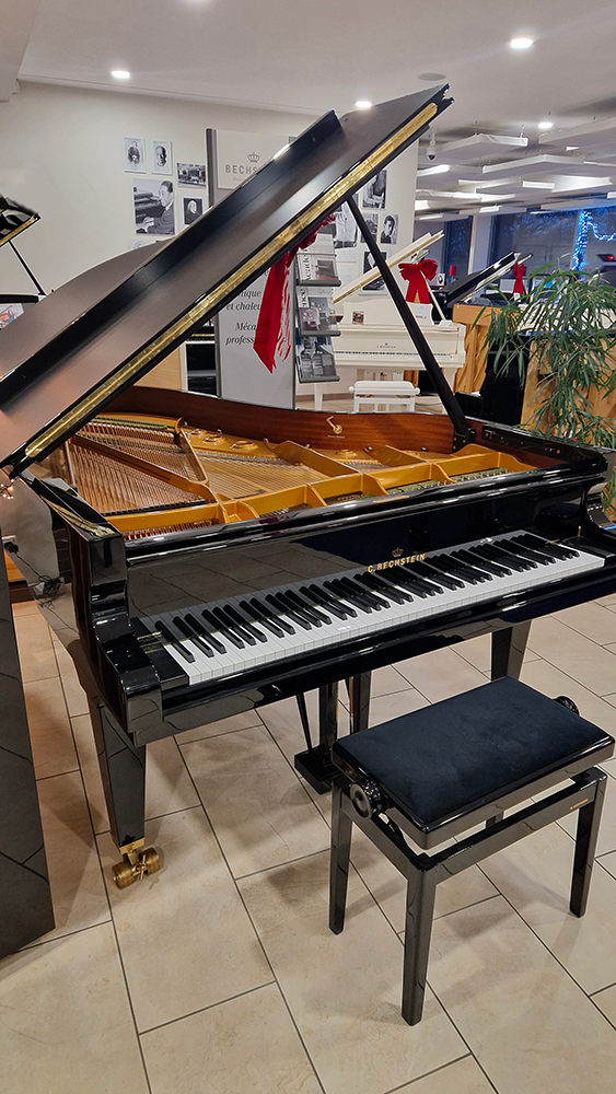 c.bechstein 1/2 que b212 | modèle d'exposition