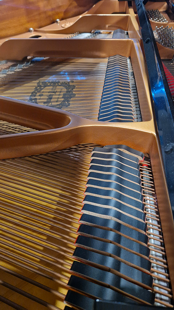 yamaha gc1 silent | noir brillant