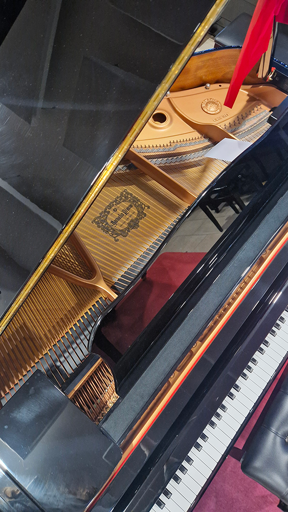 yamaha gc1 silent | noir brillant