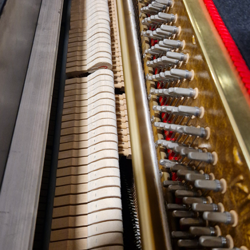 seiler 116 avec silent | occasion 2002 | noir brillant