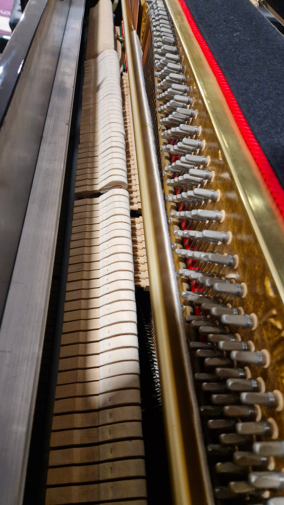 seiler 116 avec silent | occasion 2002 | noir brillant