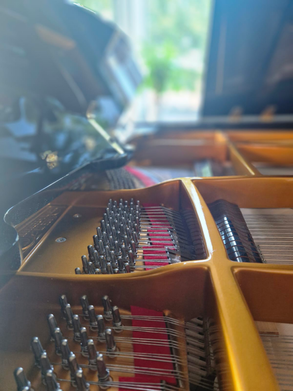 seiler 3/4 de queue | restauration seiler 3/4 de queue | restauration