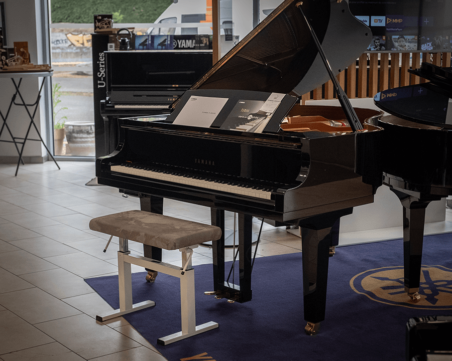 piano a queue prix 2