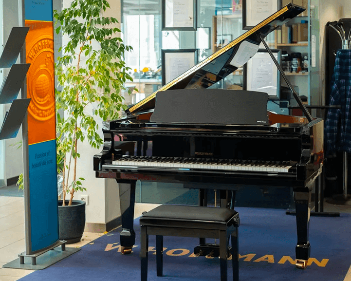 piano a queue prix 6