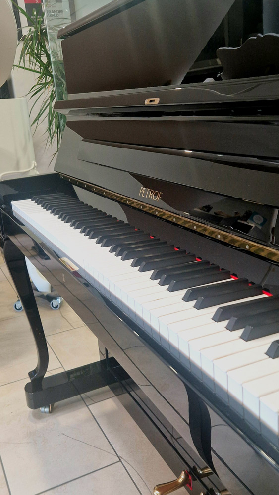 petrof 115 | occasion 2006