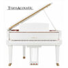 gc1 transacoustic noir brillant gc2 ta3 pwh