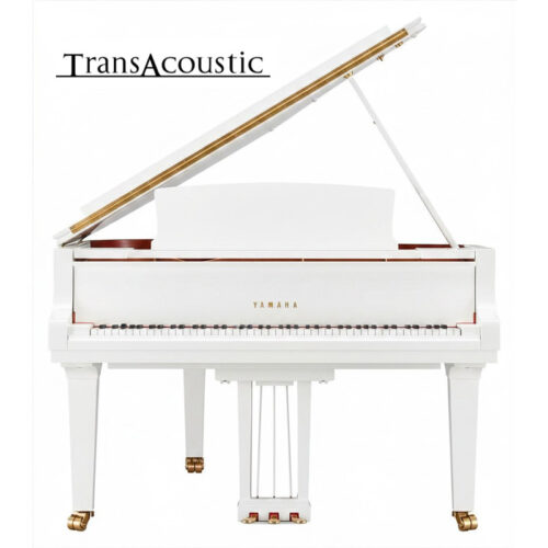 gc1 transacoustic noir brillant gc2 ta3 pwh