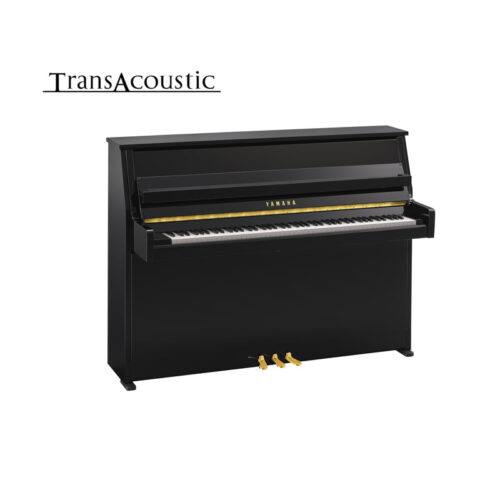 B10 Transacoustic Noir Brillant