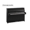 B10 Transacoustic Noir Brillant Chromé