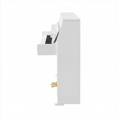B10 Transacoustic Blanc Brillant