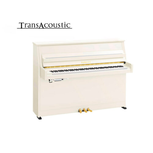 B10 Transacoustic Blanc Brillant