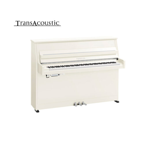 B10 Transacoustic Blanc Brillant Chromé