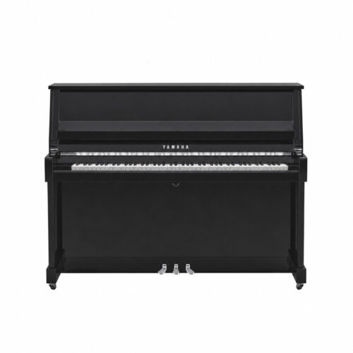 B20 Noir Brillant Chromé