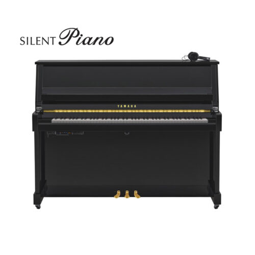 B20 Silent Noir Brillant