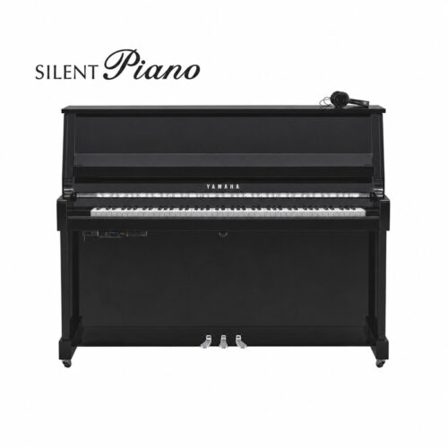B20 Silent Noir Brillant Chromé