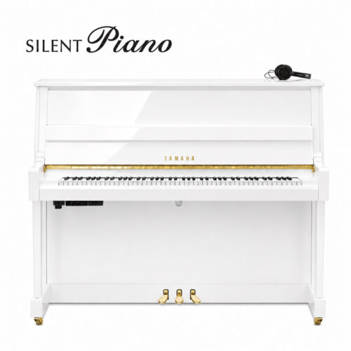 B20 Silent Blanc Brillant