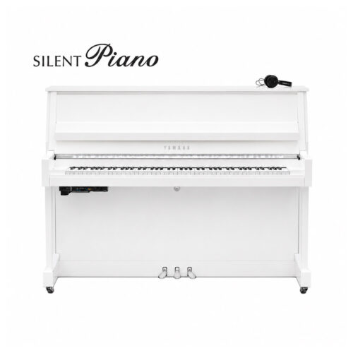 B20 Silent Blanc Brillant Chromé