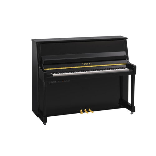 B20 Transacoustic Noir Brillant